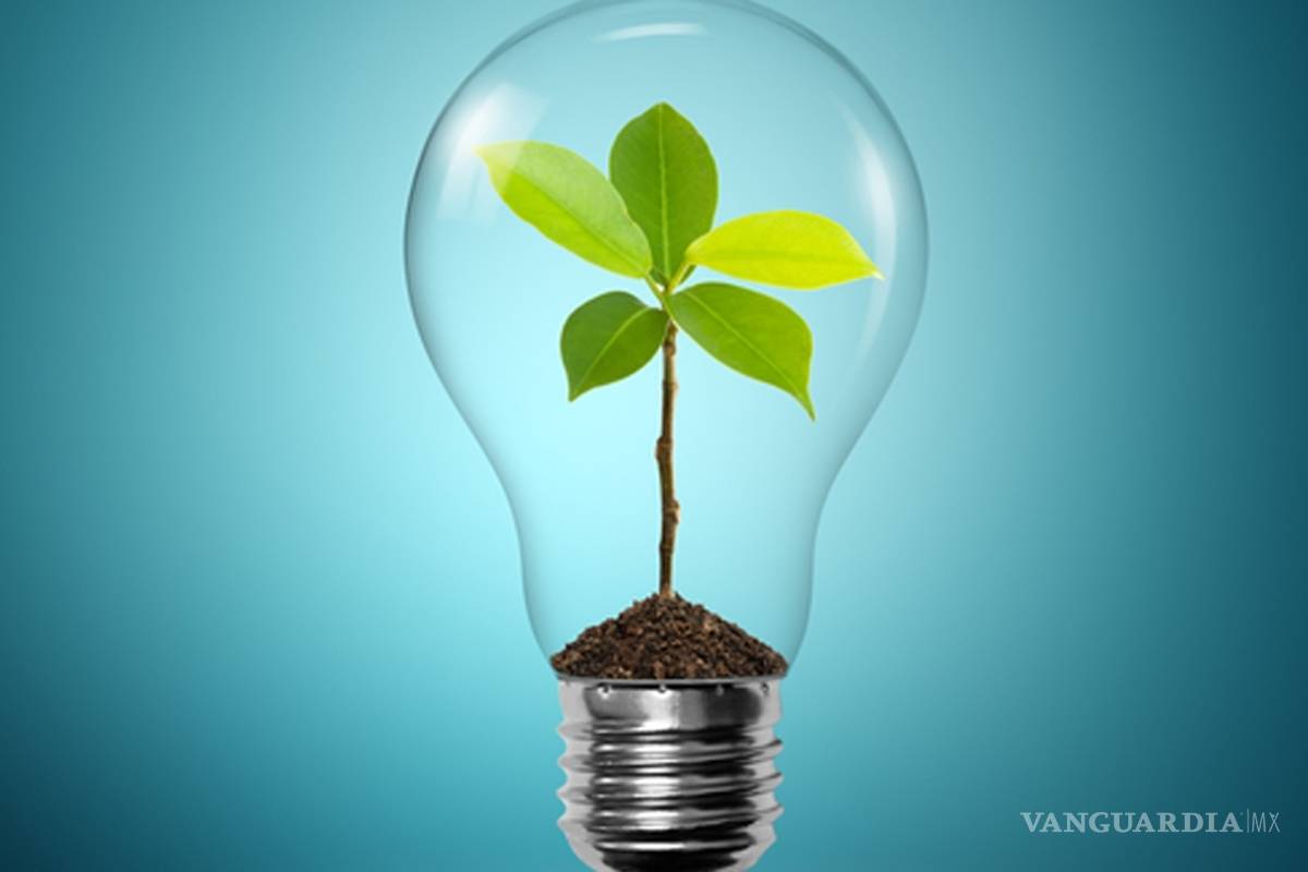 Contemplan a futuro energía verde para el Simas Piedras Negras