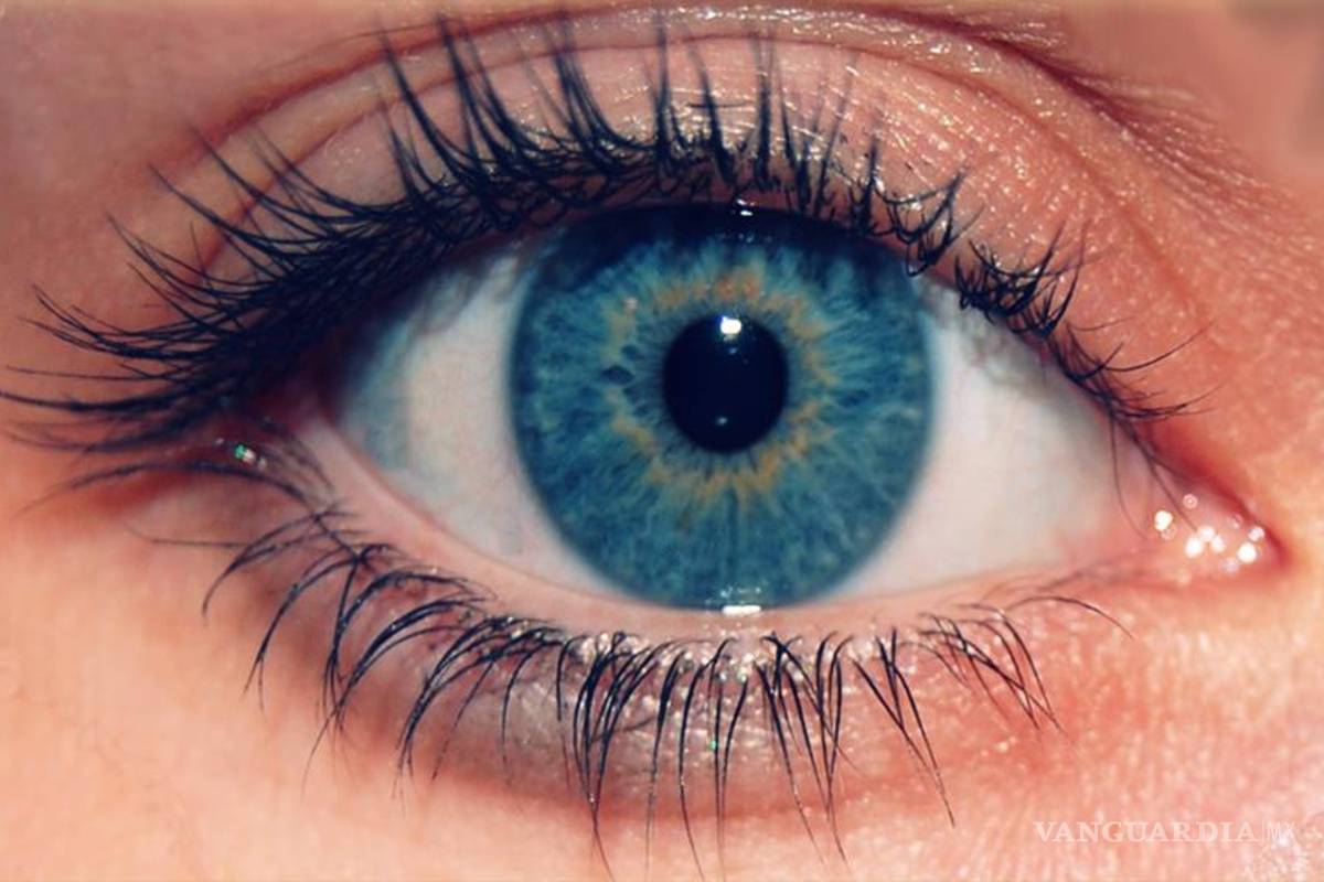 El glaucoma tiene predilección por los mexicanos