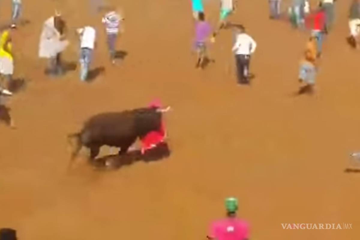 Causan indignación brutal asesinato de un toro en Colombia