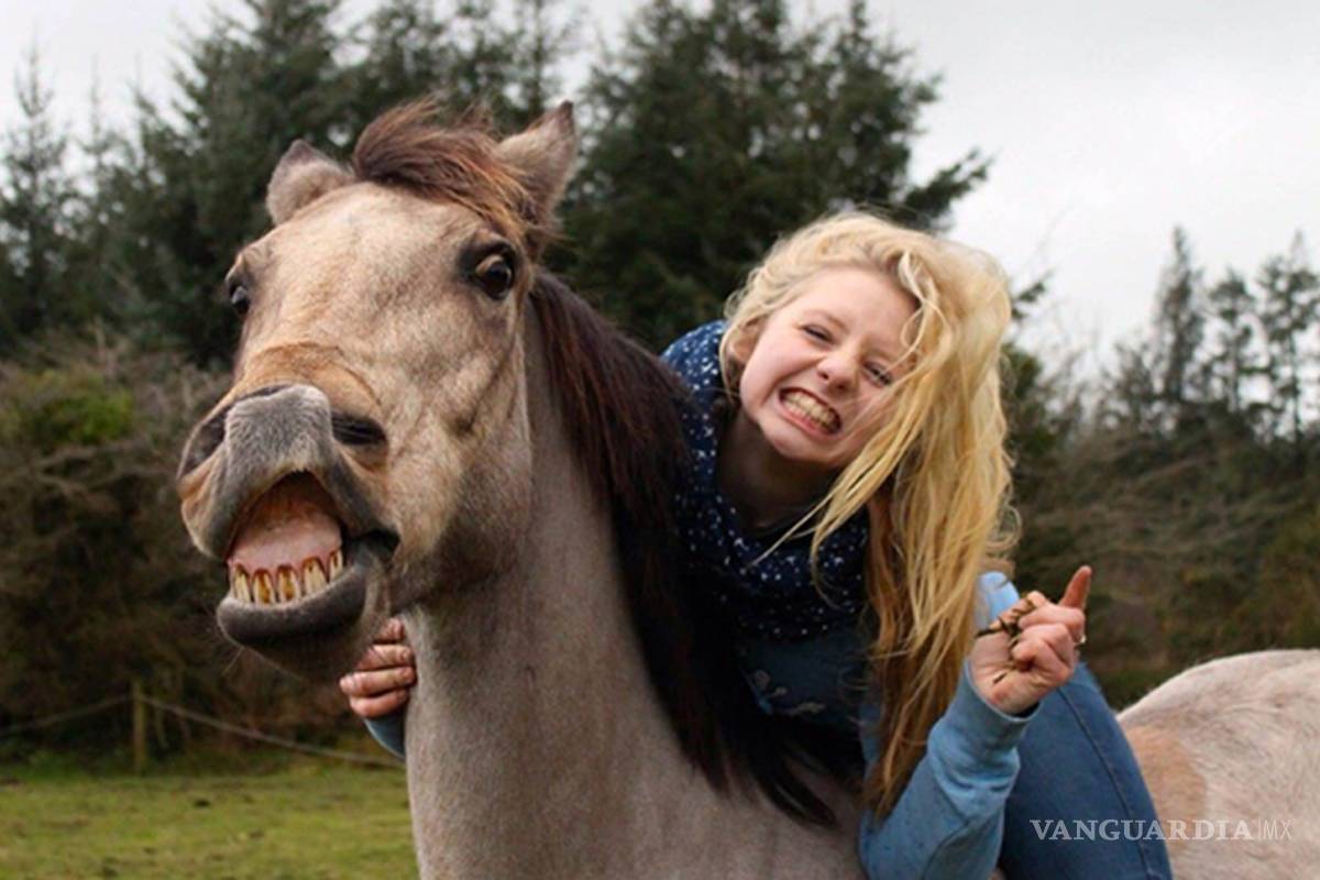 $!Rumor: El iPhone 6C sí sería lanzado en 2016