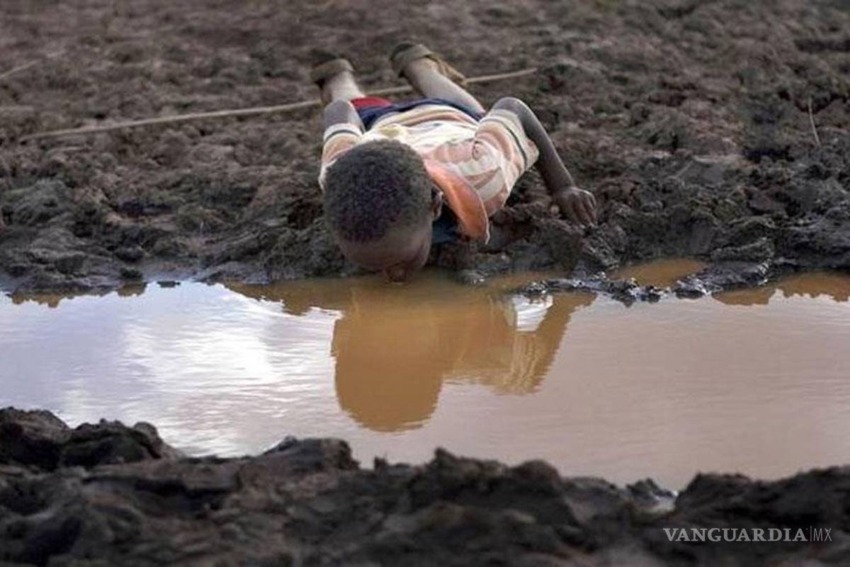 Mayor escasez de agua en 2050: FAO