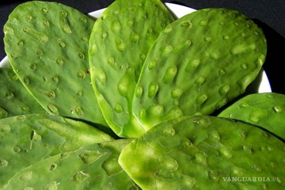 Nopal, chía y soya disminuyen la glucosa elevada