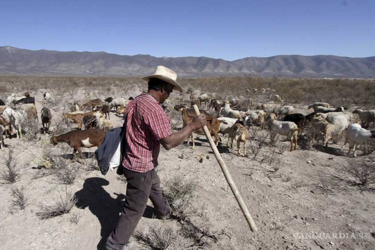 22 municipios de Coahuila solicitan ayuda ante estragos de la sequía