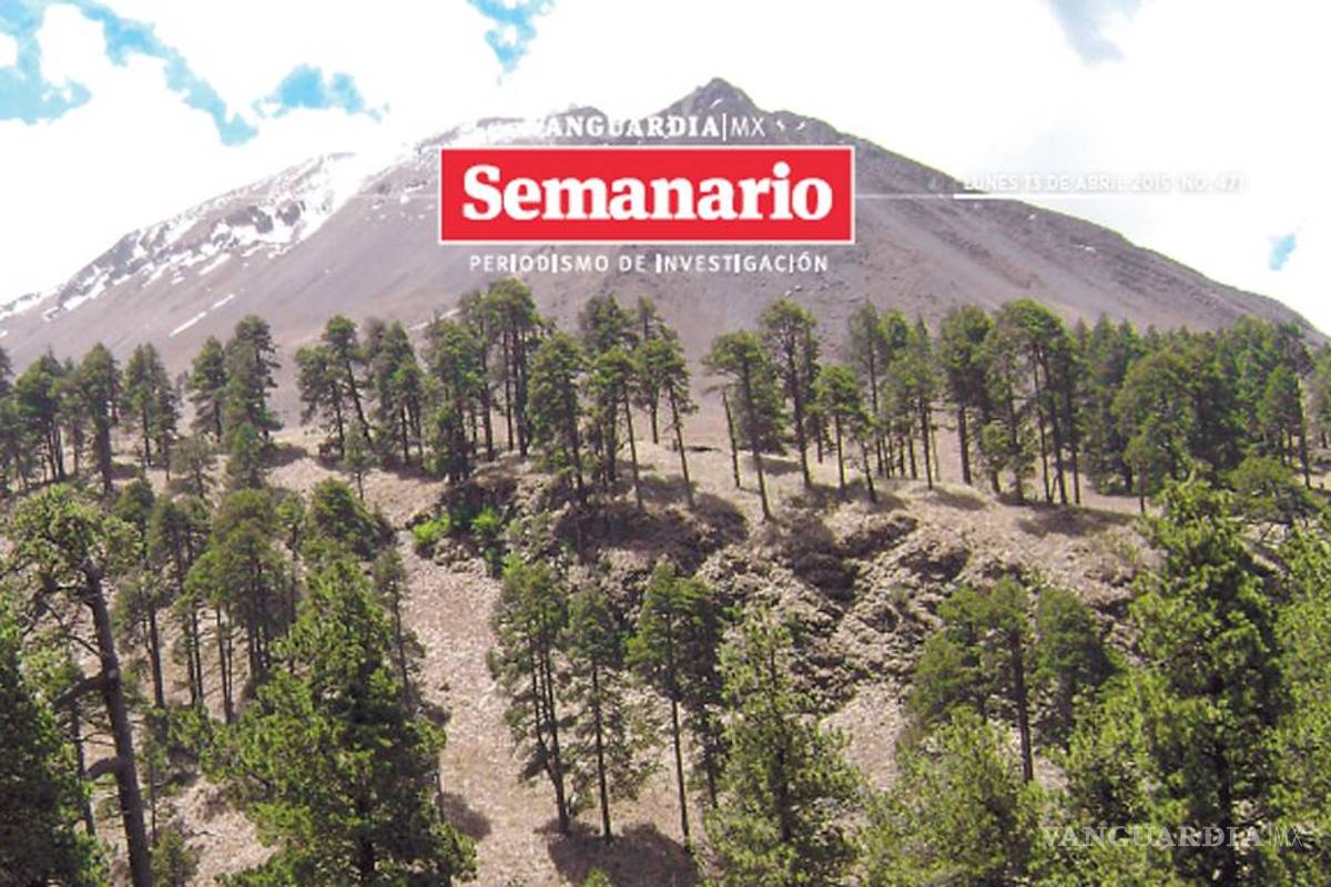 La vida en un árbol