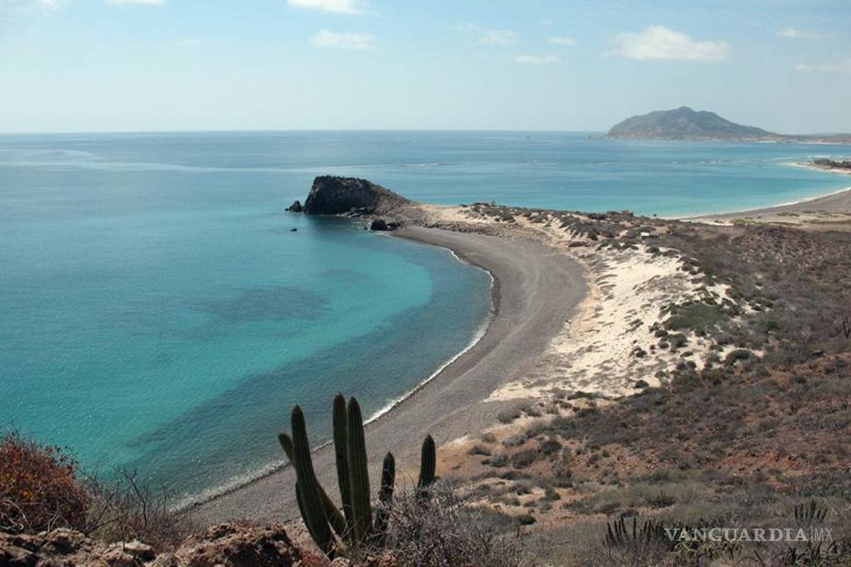 Un nuevo proyecto amenaza el área protegida mexicana de Cabo Pulmo