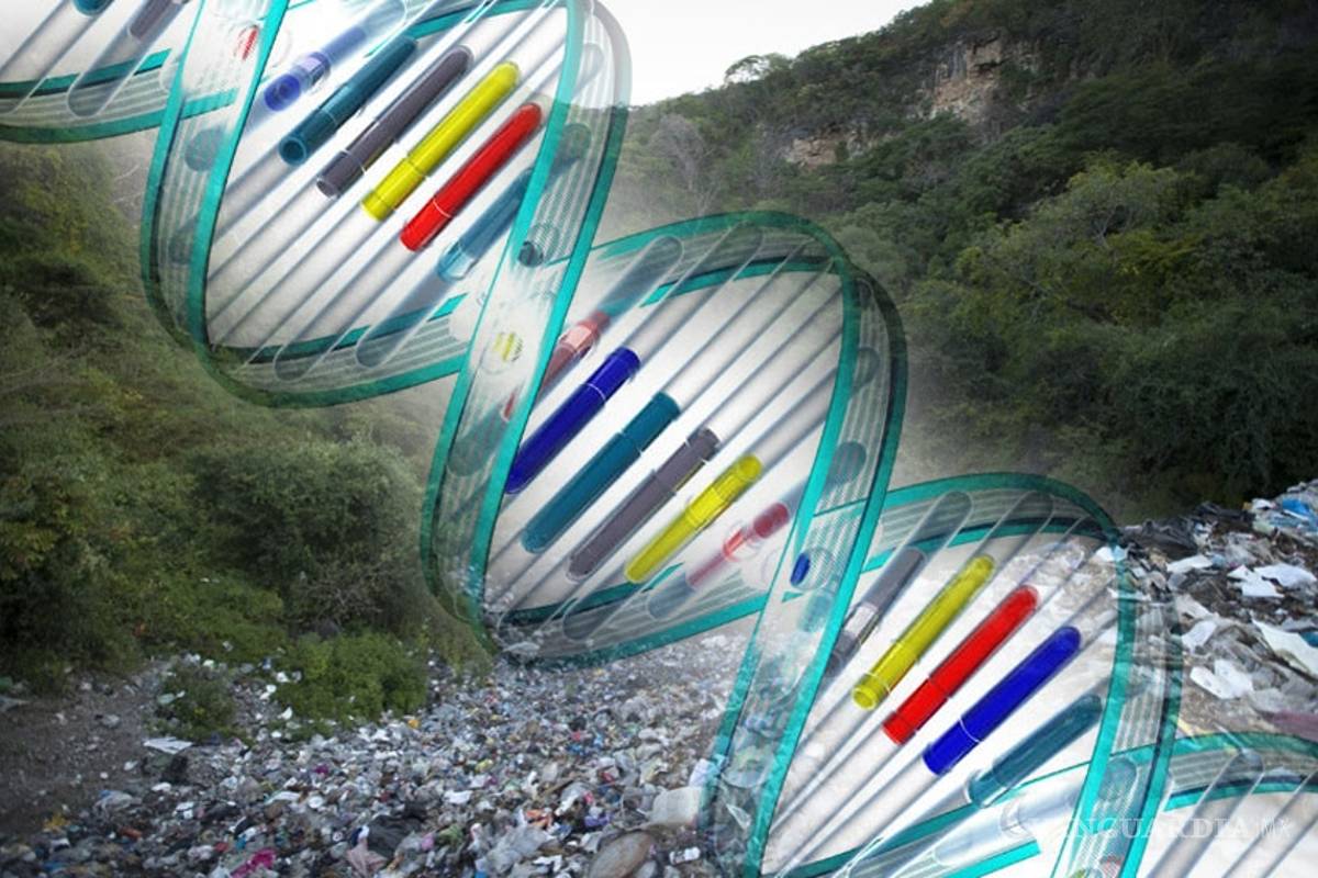 Así verificarán si son los restos de los normalistas