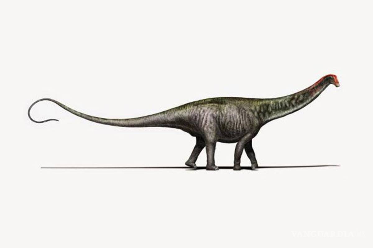 El brontosaurio está de regreso