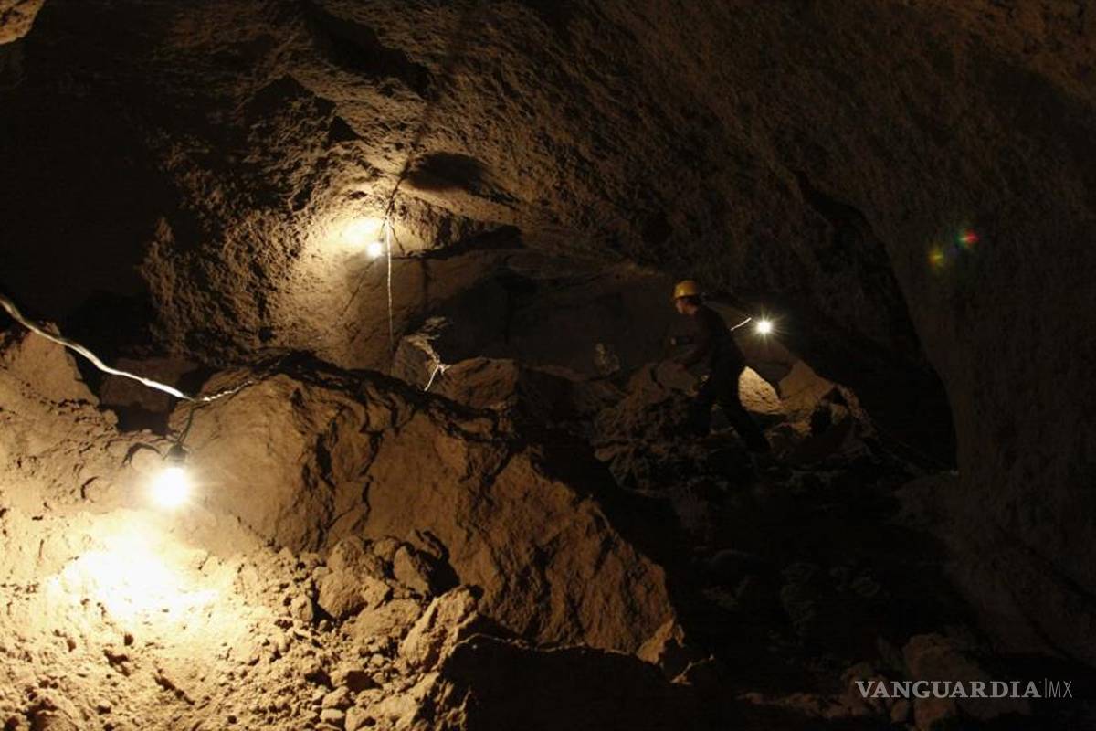 Tras tragedias mineras, encuentran sustento en viveros de chile piquín en la Región Carbonífera