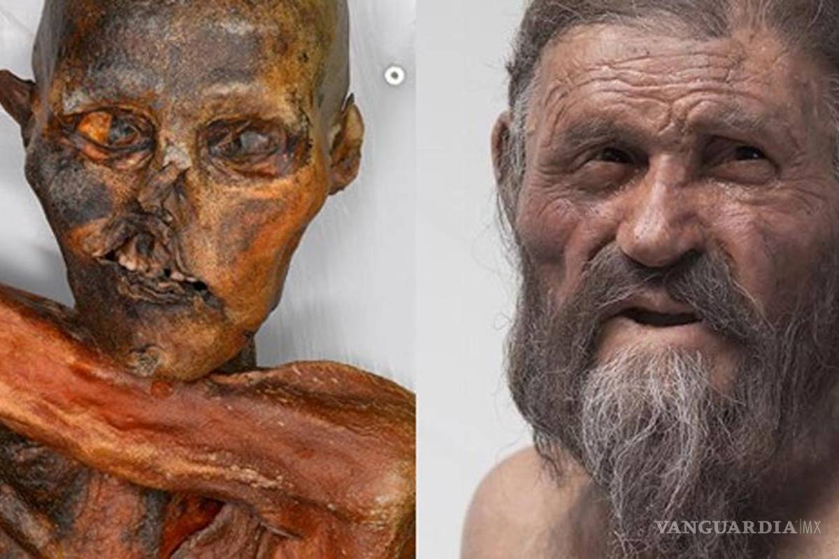 Encuentran 19 parientes vivos del "hombre de los hielos" 5,300 años después