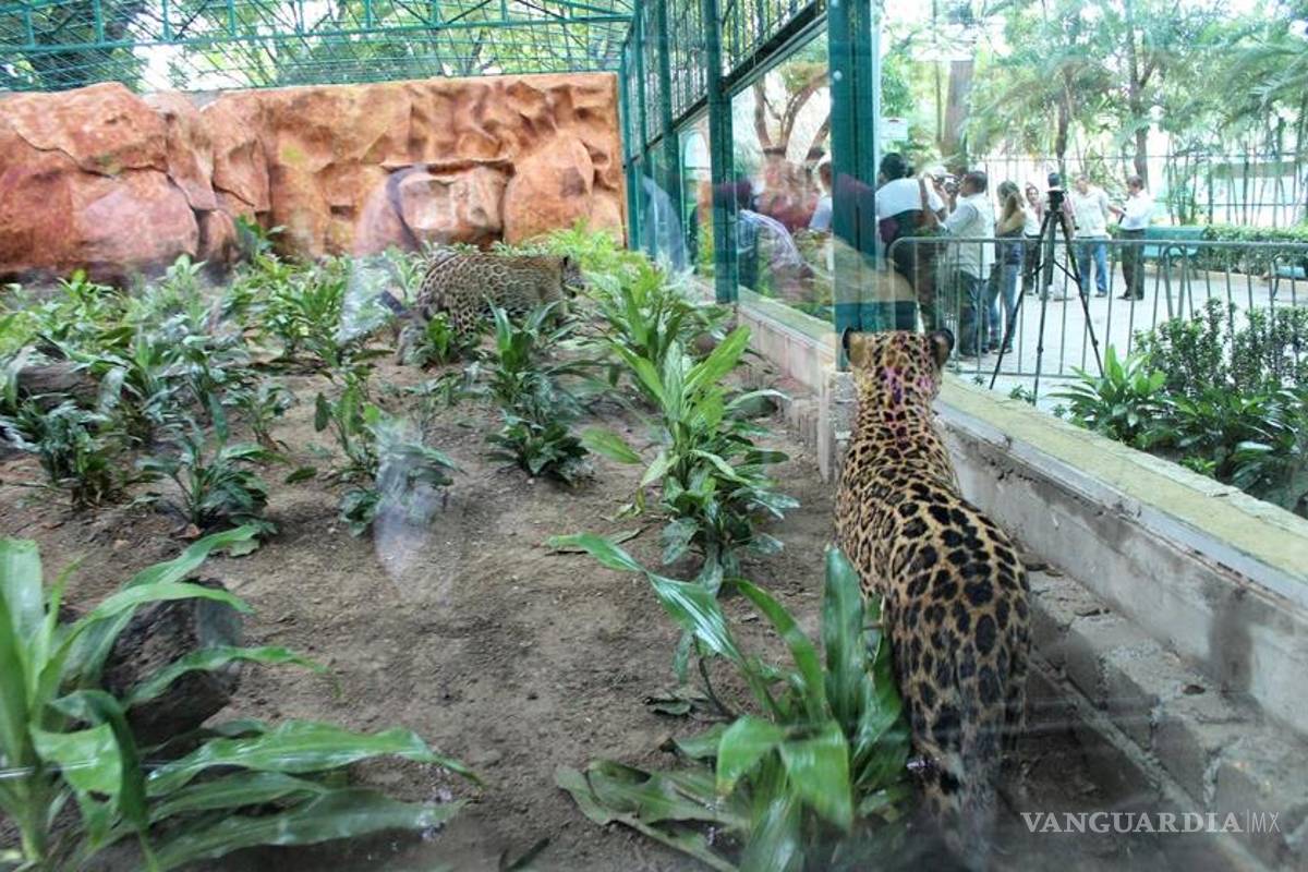 Clausuran zoológico en Acapulco; faltan 28 ejemplares
