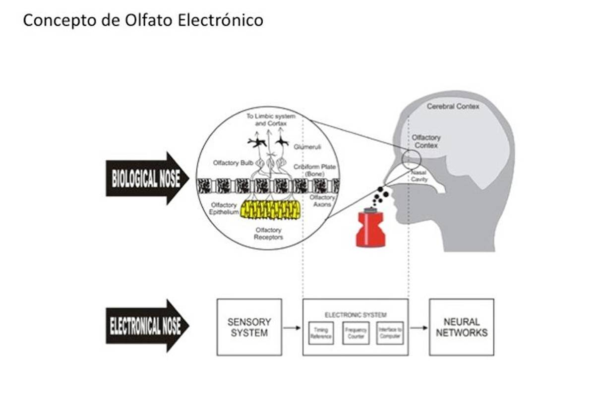 Crean nariz electrónica para medir niveles de glucosa en sangre