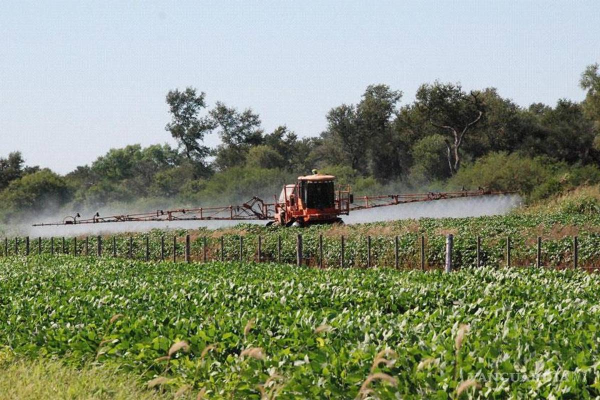 Más pruebas científicas: &quot;El glifosato no es inocuo&quot;
