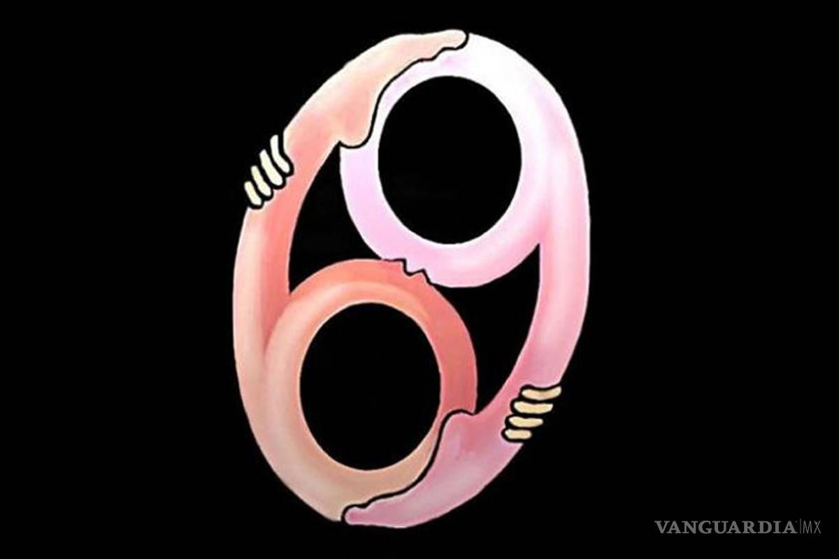 El número más erótico que existe: la historia del 69