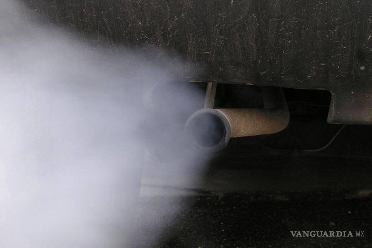 Convertidores catalíticos, efectivos al apoyar al medio ambiente