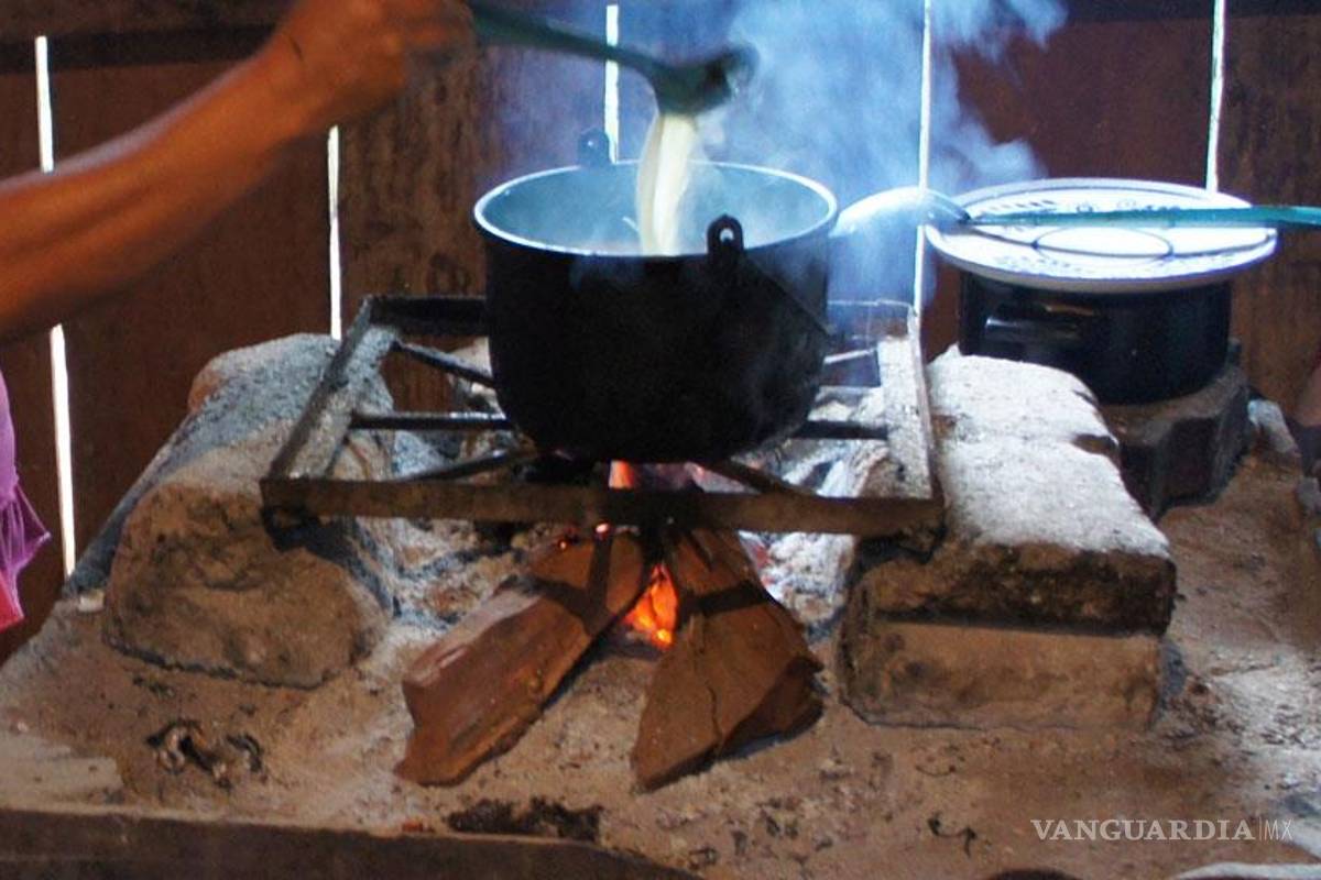 Humo de leña, "asesino de la cocina", causa 1.5 millones de muertes al año