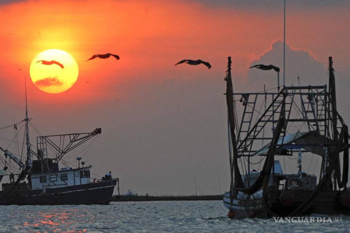 Hacia la pesca sostenible