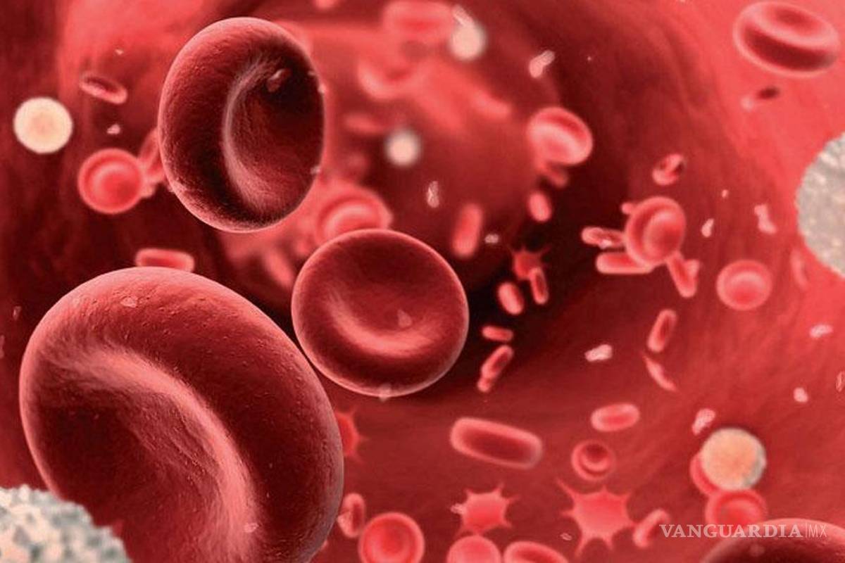 México sufre más anemia que Africa, según 'ranking' nacional