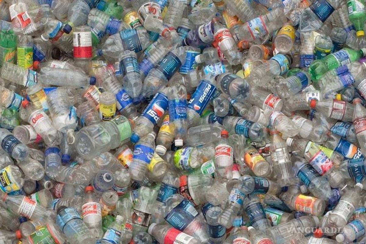 México, líder en reciclaje de PET gracias a pepenadores