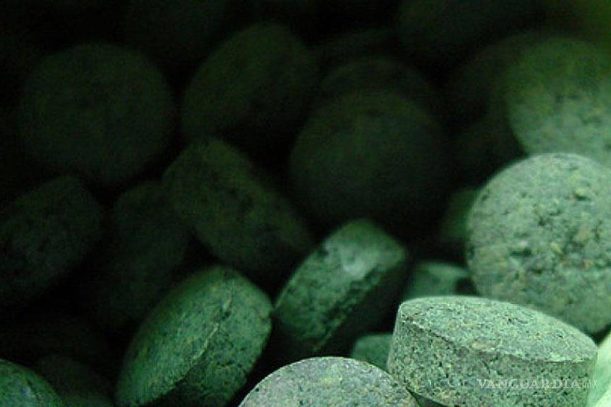 Espirulina, &quot;el alimento del milenio&quot; según la ONU