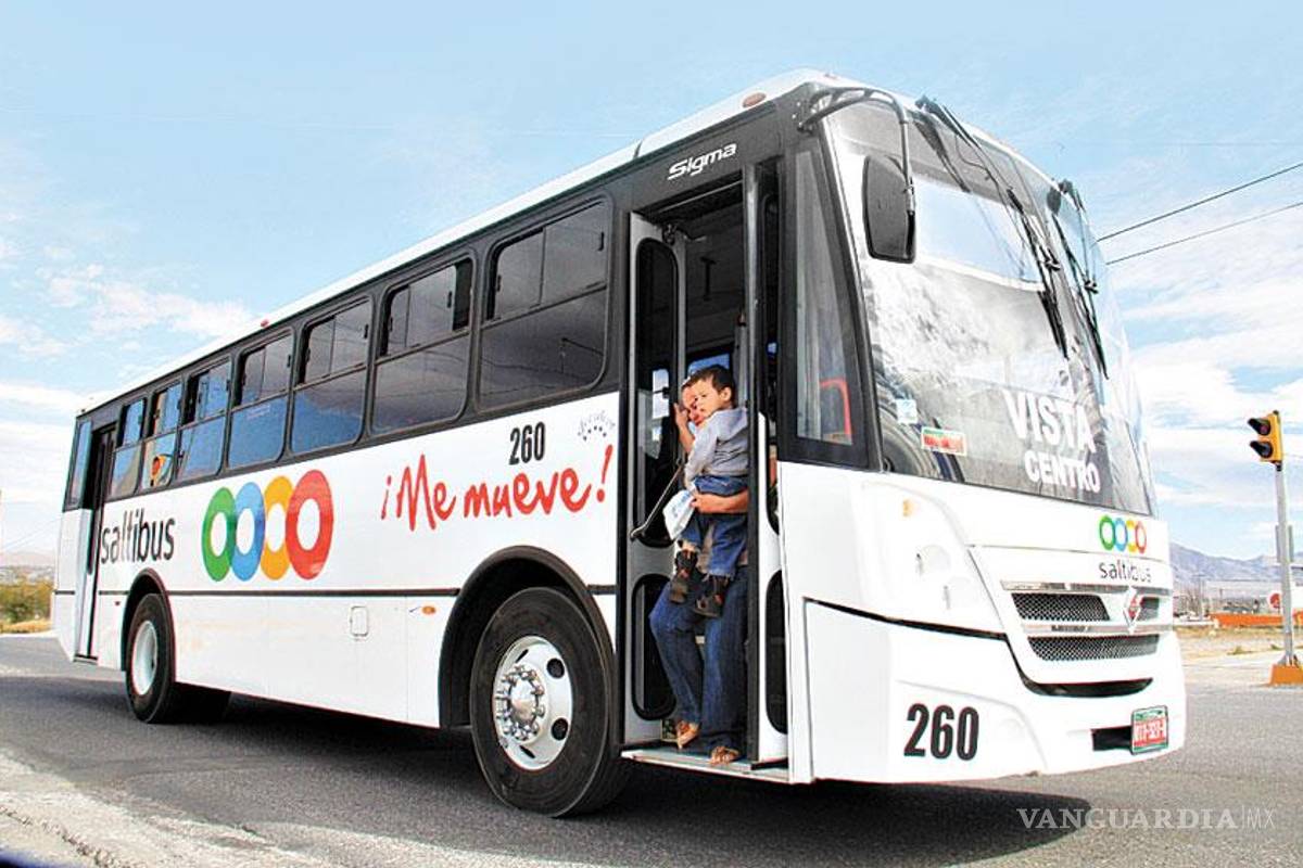 Freno total, el Saltibús queda cancelado