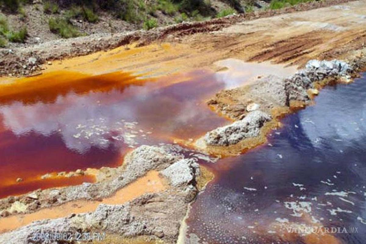 Grupo México, responsable del peor desastre ecológico en el país