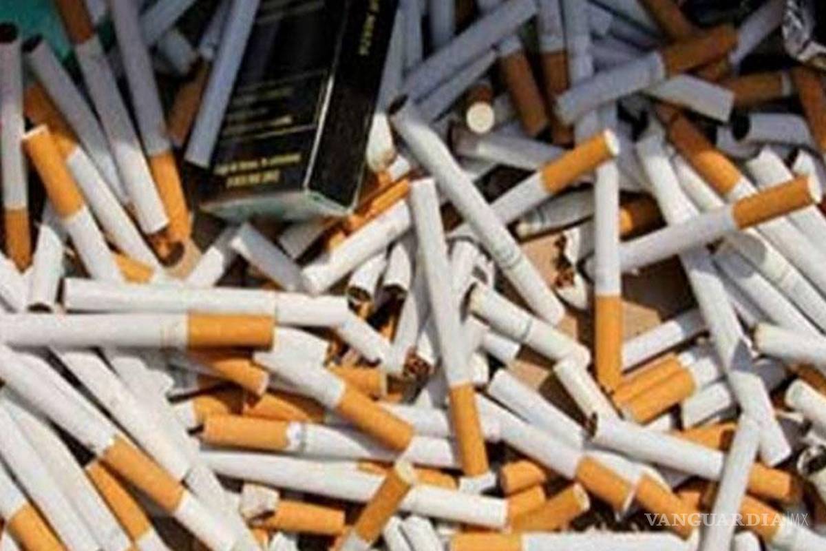 Regresa foto de la rata, para inhibir a fumadores