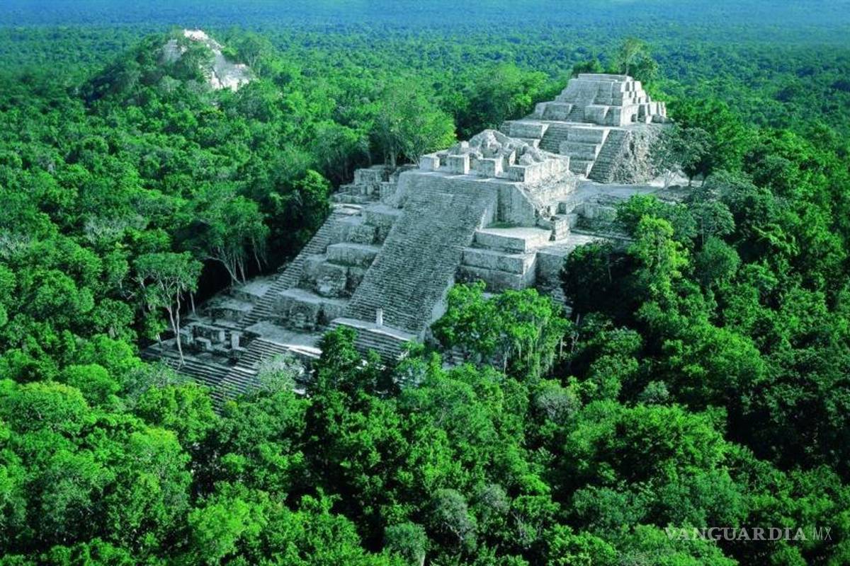 Unesco declara Patrimonio de la Humanidad a Biósfera de Calakmul