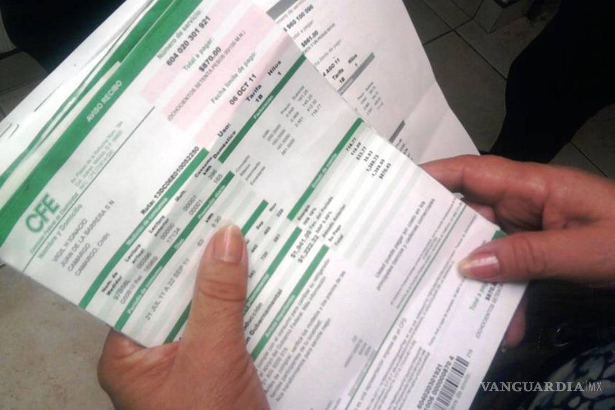 Los que le deben a la CFE