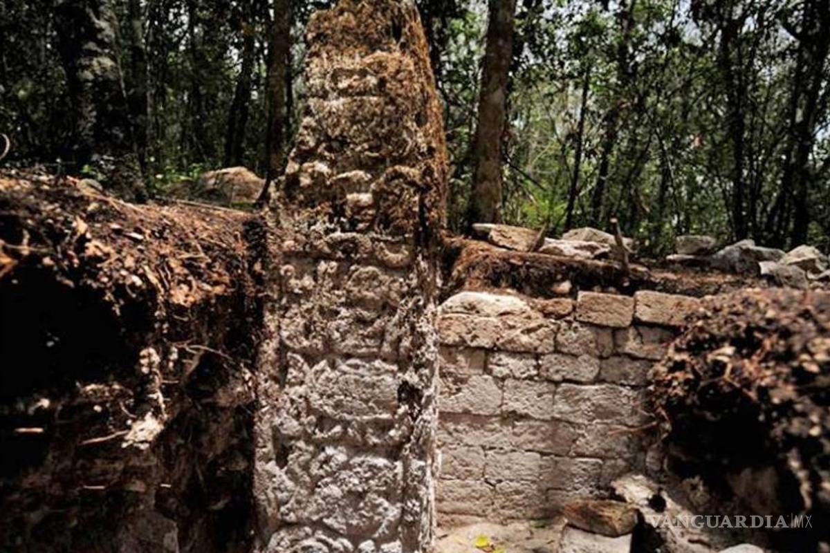 Localizan 19 estelas mayas en Chactún, Campeche