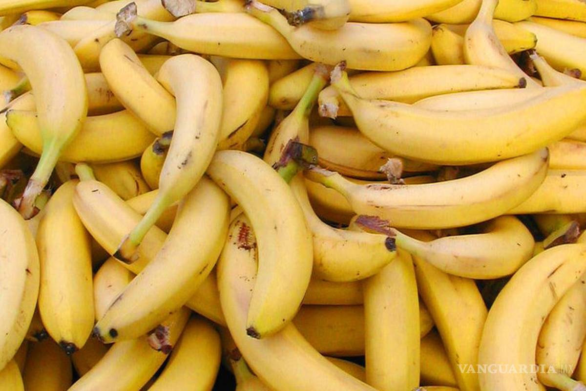 Trasnacionales pretenden ingresar con otro transgénico: el platano