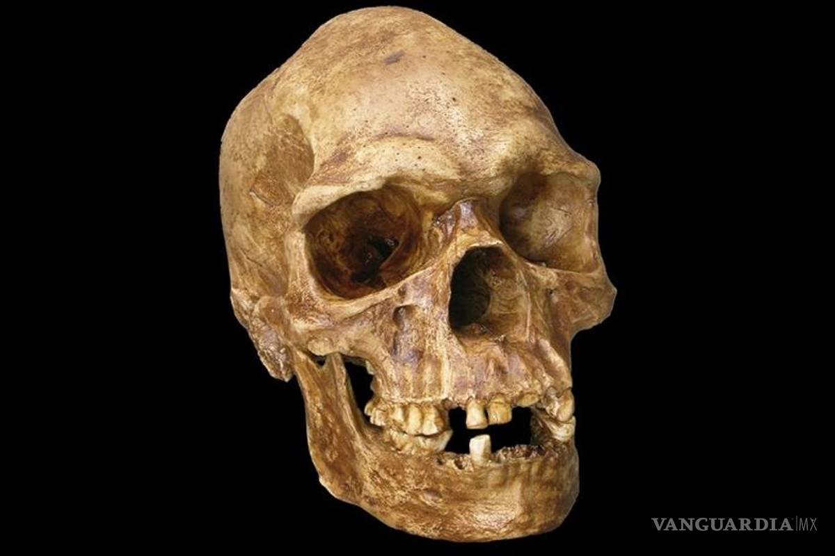 La larga vida de los Homo sapiens