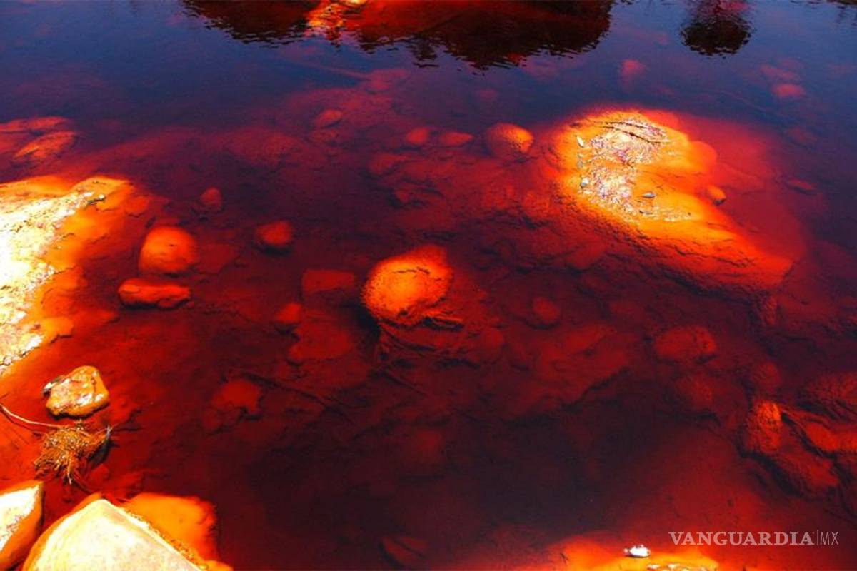 Río Sonora, atestado de aguas venenosas: autoridades