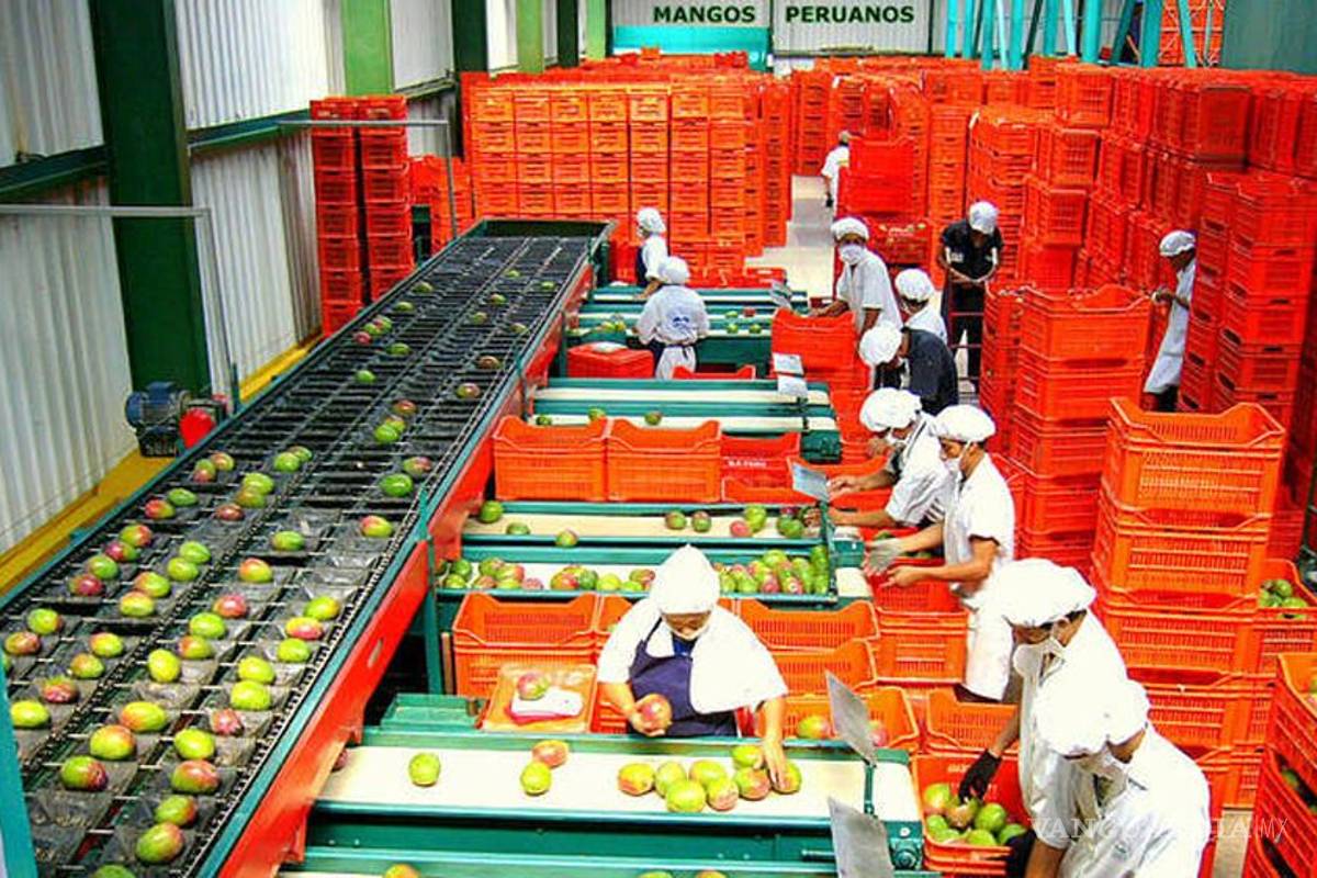 México, segundo país en exportaciones agrícolas a Canadá