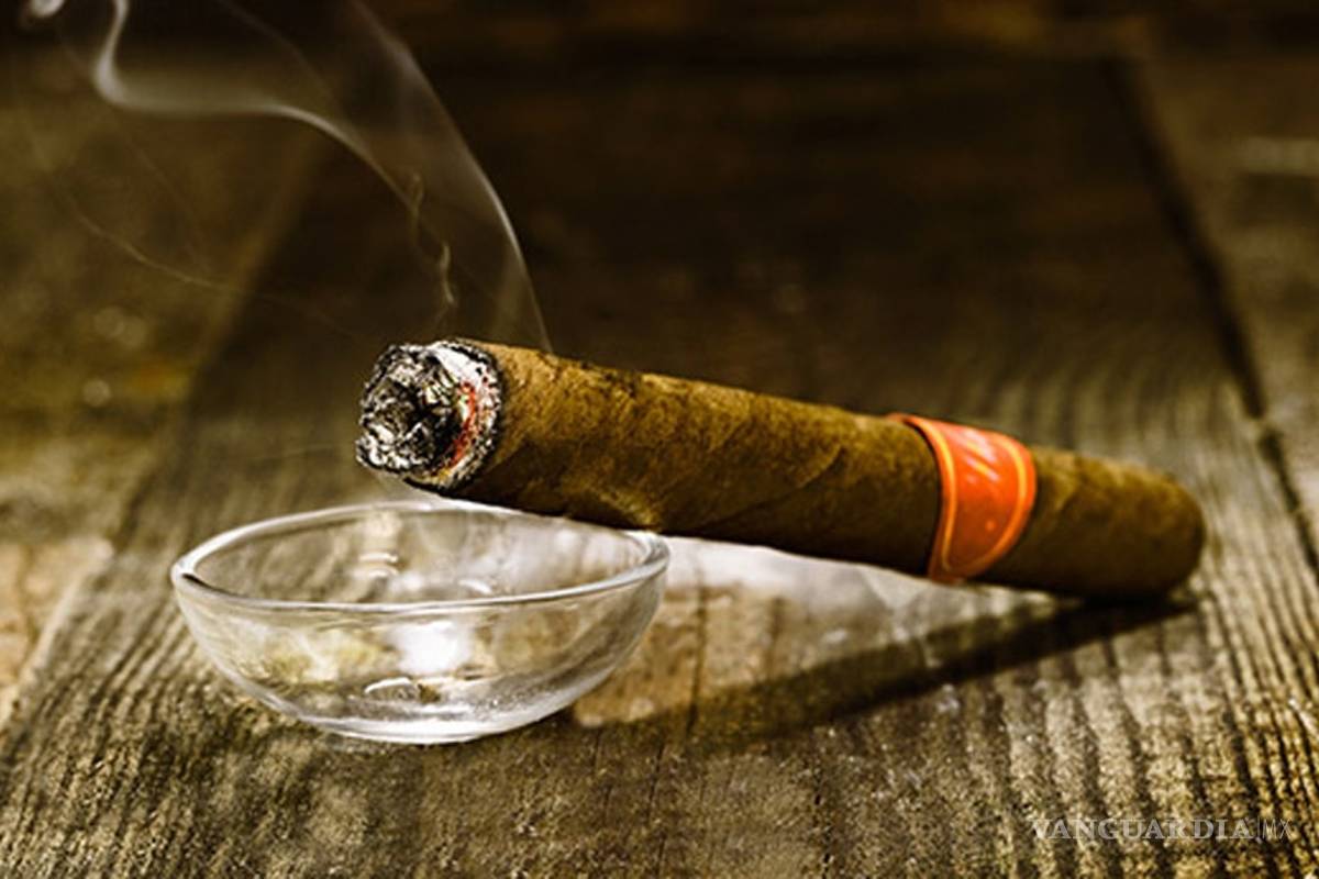 Puros, tan dañinos como los cigarros