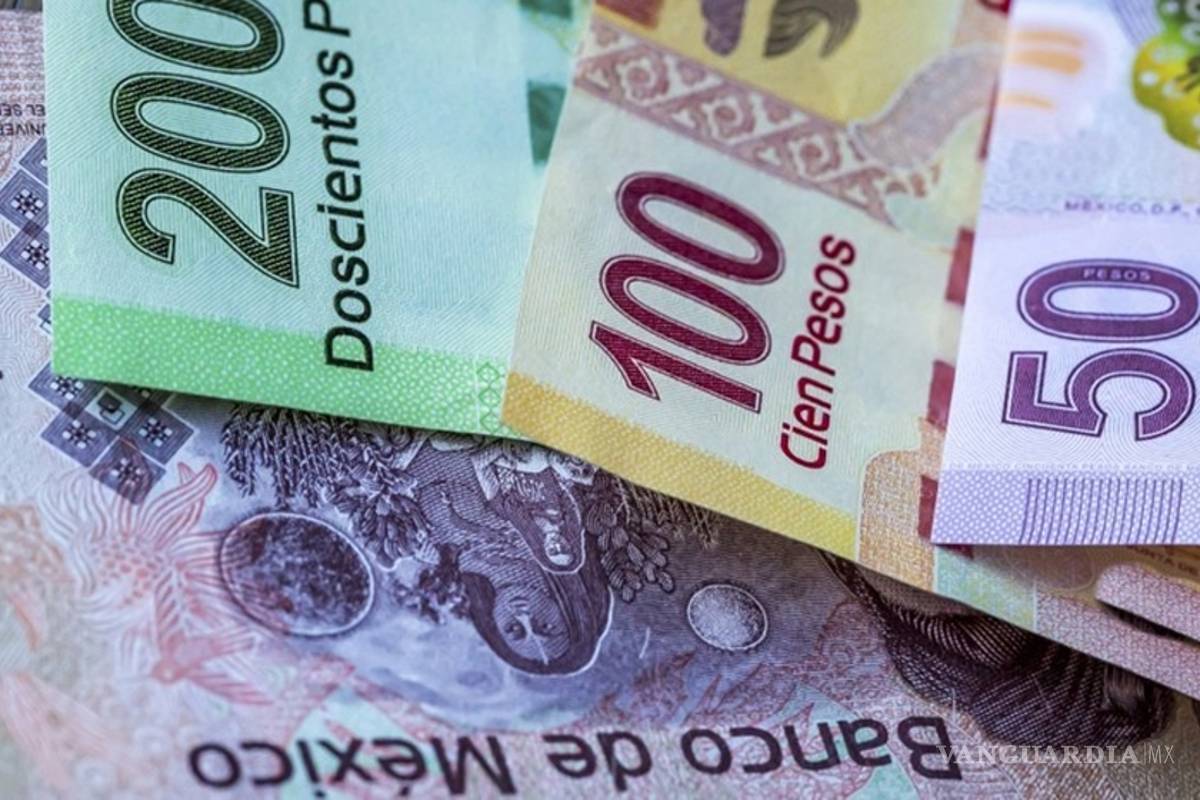 Cómo detectar billetes falsos