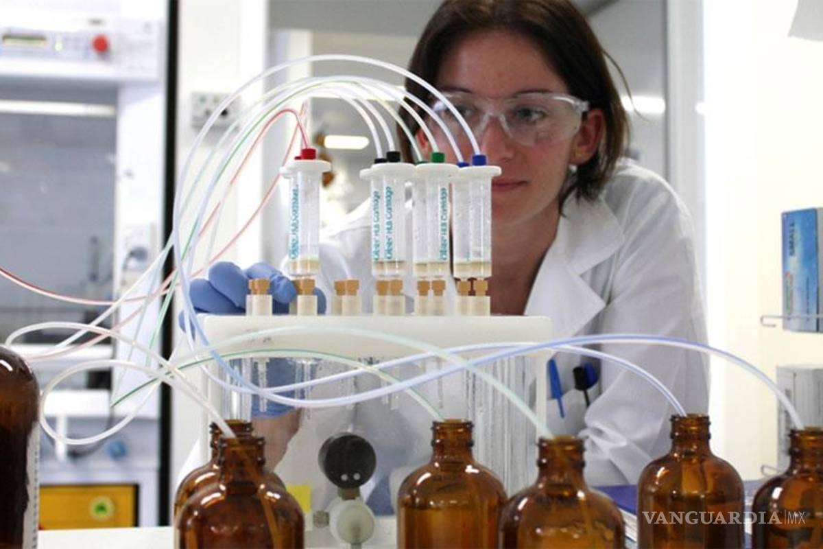 Son becados cinco científicos mexicanos para realizar investigación en Harvard