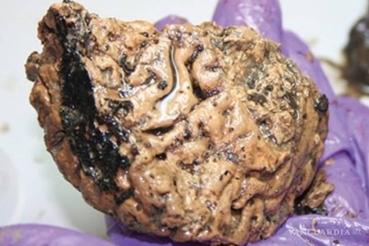 Descubren un cerebro humano de 2.600 años