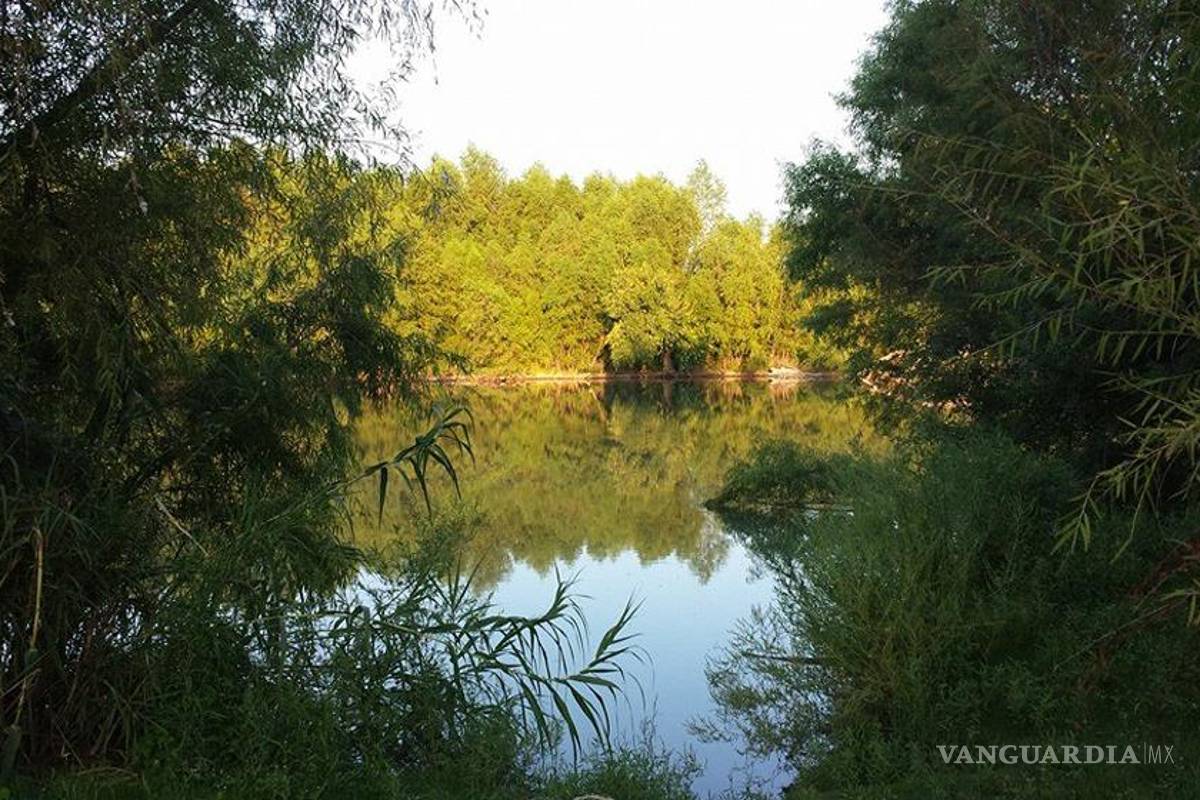 Detectan altos niveles de cadmio, plomo y cobre en río Sabinas