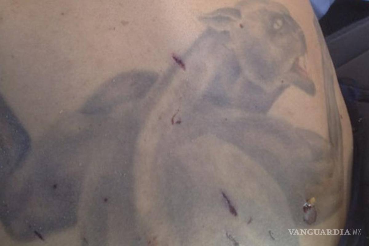 El Pantera, templario que ya habían dado por muerto