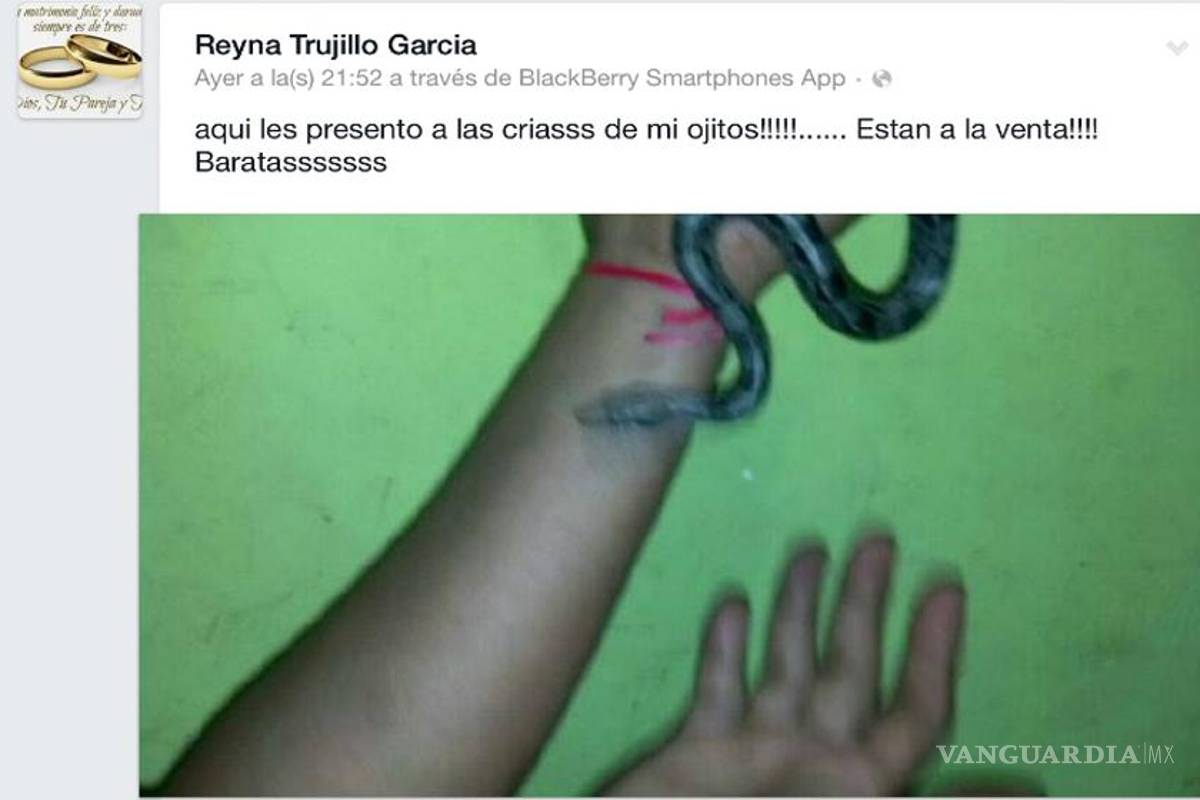 Funcionaria de Veracruz vende boas 'de oferta' por Facebook