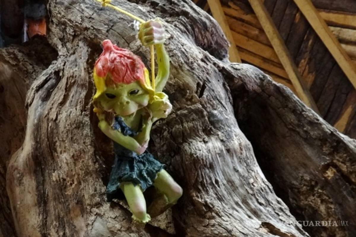 ¿Realidad o ficción? Los duendes no son un cuento de hadas