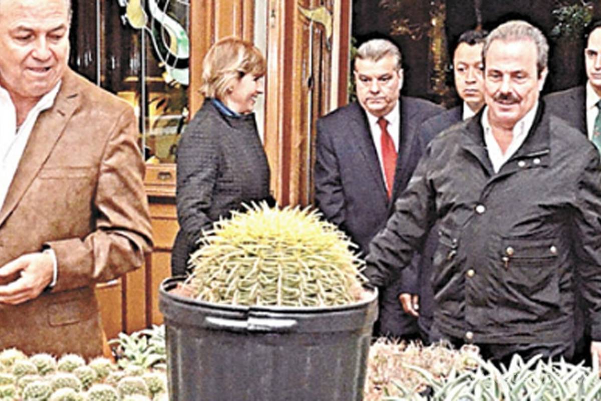 El llamado del desierto. Bellezas sin límite, primer libro impreso en Medio Pliego