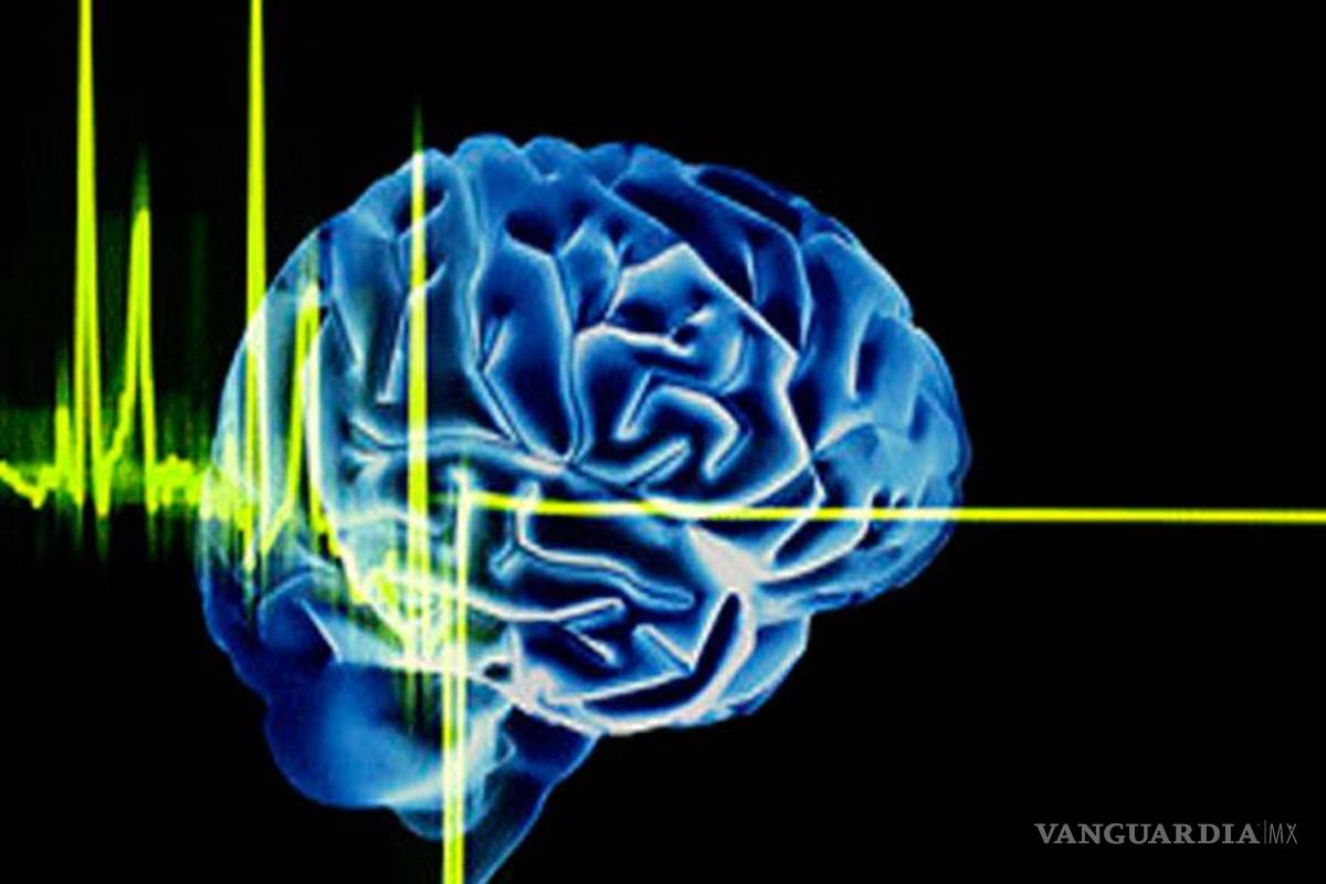 ¿Qué justifica la muerte celular?