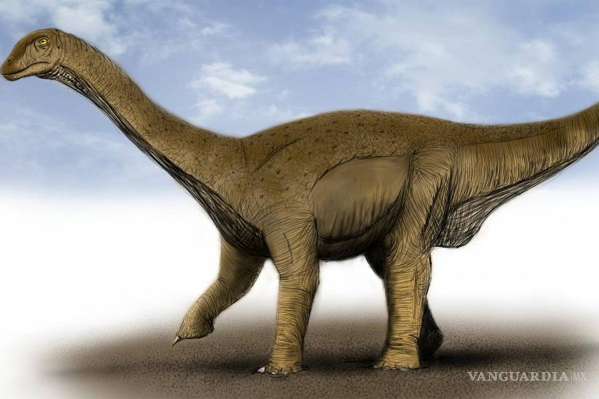 Descubren los restos de uno de los dinosaurios más grandes en la Tierra