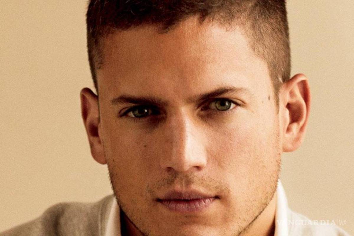 Wentworth Miller, de Prison Break, se declara gay