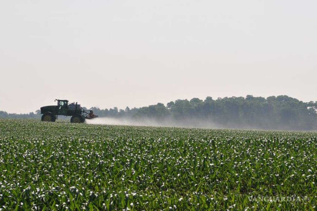 Pesticida en habitantes de 18 países europeos: ONG