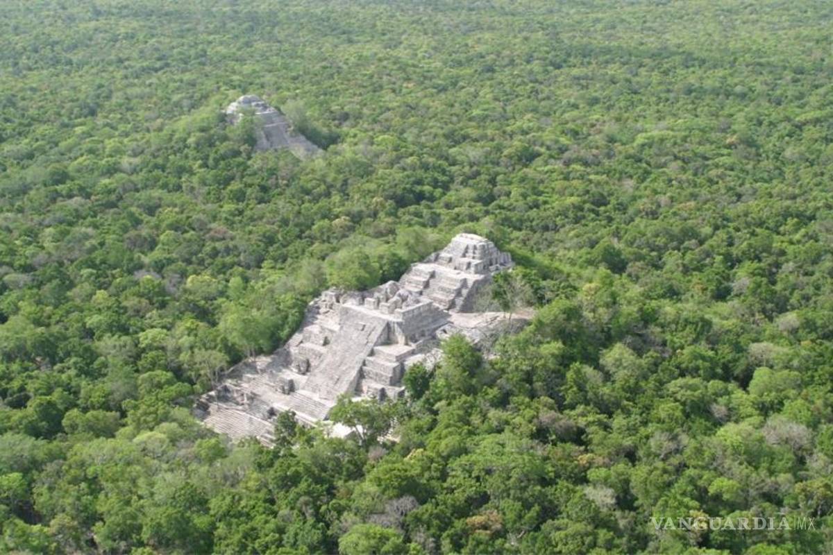 Calakmul ¿Por qué la Unesco considera espectacular esta selva de México?