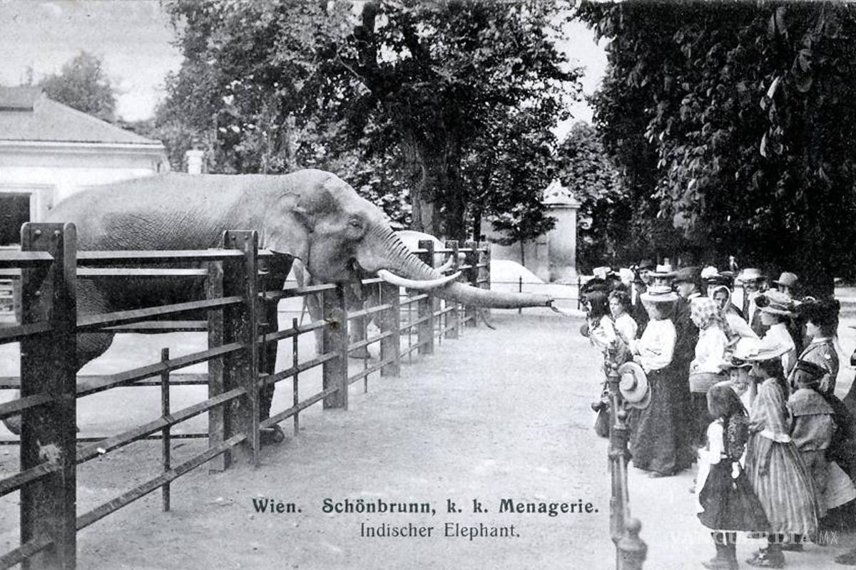 El zoo más antiguo del mundo