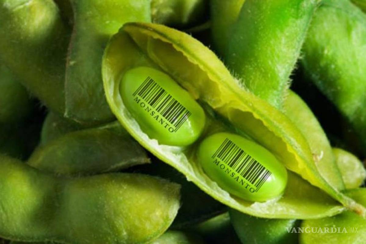 Prohíben en Argentina instalar planta de Monsanto