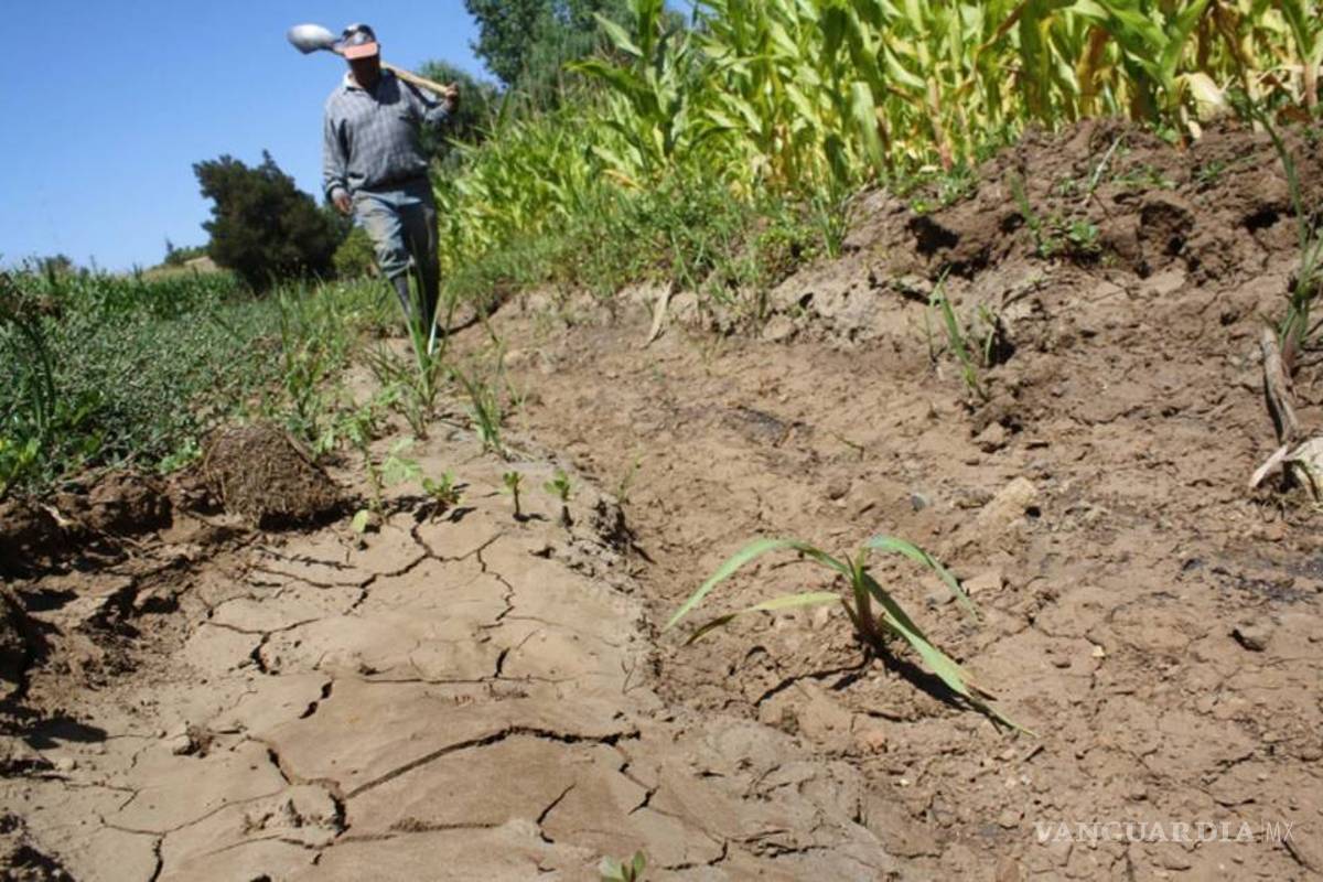Alerta por sequía en el norte de Coahuila